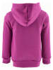 Harry Potter Bluza "Harry Potter" w kolorze fioletowym