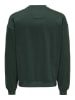 ONLY & SONS Sweatshirt "Berry" in Grün