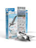 Eugy 3D Bastelset "Royal Albatross" - ab 6 Jahren