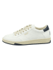 Gant Leder-Sneakers "Prepus" in Weiß/ Dunkelblau/ Beige