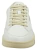 Gant Leder-Sneakers "Prepus" in Weiß/ Beige