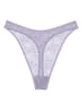 Triumph String "Bright Spotlight" in Lila