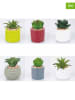 Villa d´Este 6-delige set: kunstplanten meerkleurig - (H)8 x Ø 5,8 cm