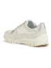 Geox Leder-Sneakers "Sukie" in Creme