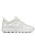Geox Sneakers "Spherica" in Weiß/ Creme