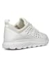 Geox Sneakers "Spherica" in Weiß/ Creme