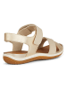 Geox Sandalen "Vega" in Creme/ Gold