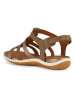 Geox Leder-Sandalen "Vega" in Khaki/ Braun