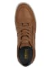 Geox Sneakers "Elver" in Hellbraun