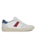 Geox Leder-Sneakers "Affile" in Weiß/ Blau/ Rot