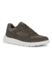 Geox Sneakers "Portello" in Khaki