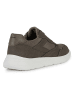 Geox Sneakers "Portello" kaki