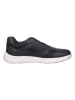 Geox Sneakers "Portello" in Dunkelblau