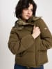 Cross Jeans Übergangsjacke in Oliv