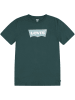 Levi's Kids Shirt donkergroen
