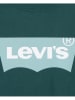 Levi's Kids Shirt in Dunkelgrün