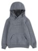 Levi's Kids Hoodie in Grau