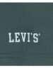 Levi's Kids Shirt in Grün