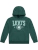 Levi's Kids Hoodie groen