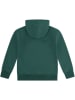 Levi's Kids Hoodie groen