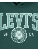 Levi's Kids Hoodie groen