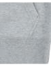 Levi's Kids Hoodie in Grau
