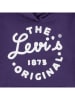 Levi's Kids Hoodie in Lila