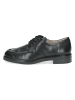 Caprice Leder-Schnürschuhe in Schwarz