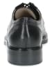 Caprice Leder-Schnürschuhe in Schwarz