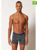 Skiny 2-delige set: boxershorts antraciet
