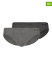 Skiny 2er-Set: Slips in Grau/ Anthrazit