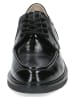 Caprice Leder-Schnürschuhe in Schwarz