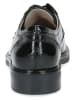 Caprice Leder-Schnürschuhe in Schwarz