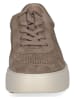 Caprice Leder-Sneakers in Braun