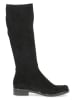 Caprice Stiefel in Schwarz