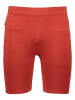 Pangaia Trainingsshort rood