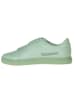 Pangaia Sneakers groen