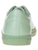 Pangaia Sneakers groen
