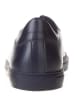 Pangaia Sneakers donkerblauw