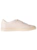 Pangaia Sneakers in Beige