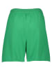 Pangaia Shorts "Cotton Knit" in Grün