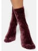 Nur Die Sokken bordeaux