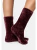 Nur Die Sokken bordeaux