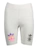 adidas Shorts in Grau