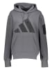 adidas Hoodie "Boa" grijs