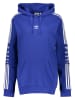 adidas Hoodie "Fleece" blauw