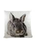Mars & More Poduszka "Rabbit" ze wzorem - 50 x 50 cm