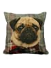 Mars & More Poduszka "Preppy Pug" ze wzorem - 45 x 45 cm