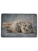 Mars & More Deurmat "Tabby laying" lichtbruin/grijs - (L)50 x (B)75 cm