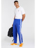 adidas Sweathose in Blau